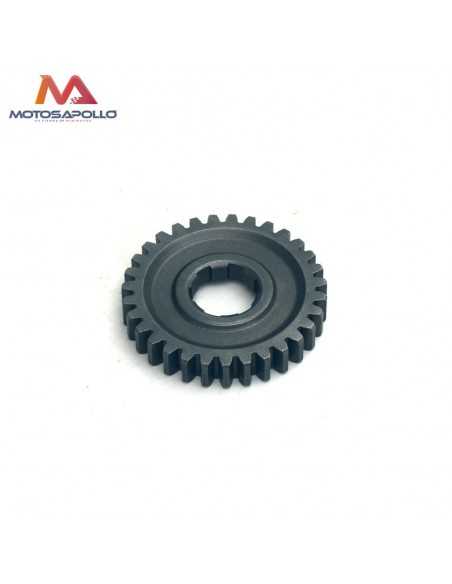 Piñon caja de cambio 31T 20mm pit bike-Motosapollo.com