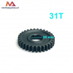 Piñon caja de cambio 31T 20mm pit bike-Motosapollo.com 2
