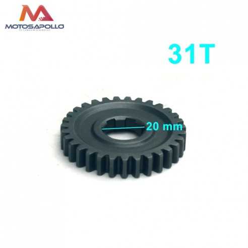 Piñon caja de cambio 31T 20mm pit bike-Motosapollo.com