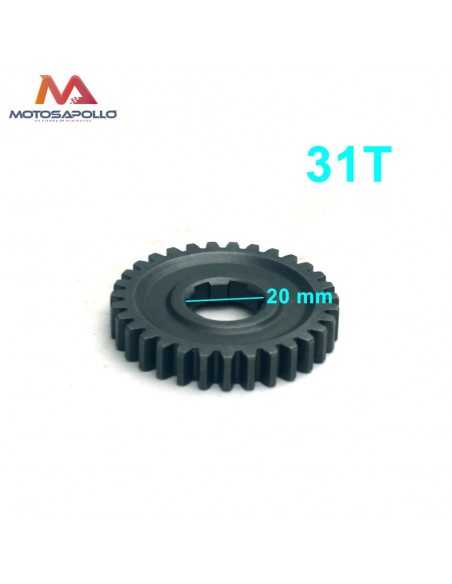 Piñon caja de cambio 31T 20mm pit bike-Motosapollo.com