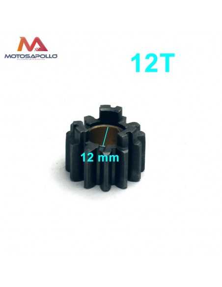 Piñon caja de cambio 12T 12mm pit bike - Motosapollo.com