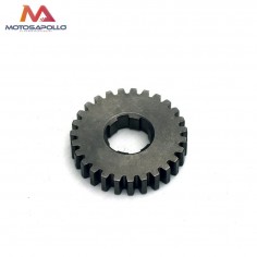 Piñon caja cambio secundario 27T 20mm Pit bike - Motosapollo.com