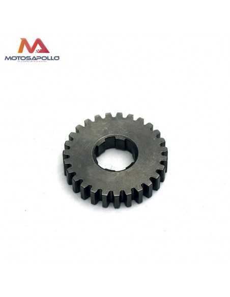 Piñon caja cambio secundario 27T 20mm Pit bike - Motosapollo.com