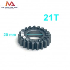 Piñon arranque 21T 20mm pit bike - Motosapollo.com 2