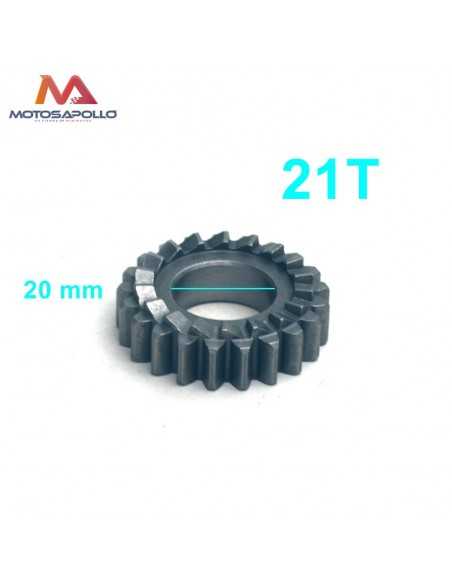 Piñon arranque 21T 20mm pit bike - Motosapollo.com