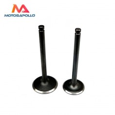 Valvulas 110cc 20/23mm - Motosapollo.com