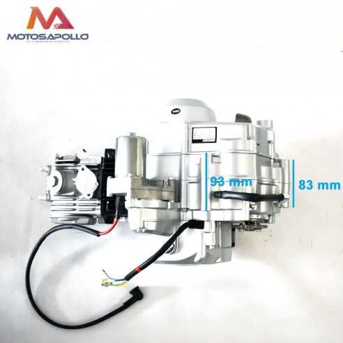 Motor quad 124CC TZH automático