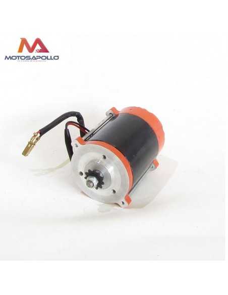 Motor electrico brushless 300W - Motosapollo.com