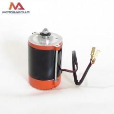 Motor electrico brushless 300W - Motosapollo.com 2