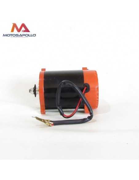 Motor electrico brushless 300W - Motosapollo.com