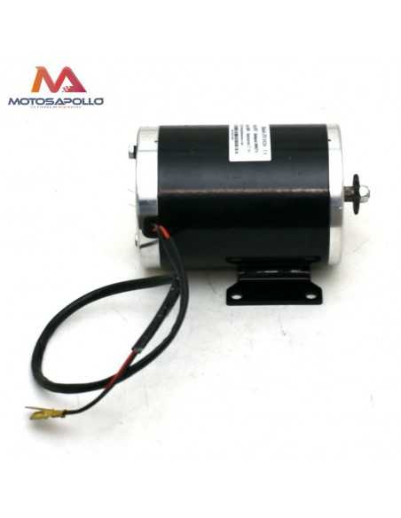 Motor eléctrico 36V 1000W con pletina Motosapollo.com