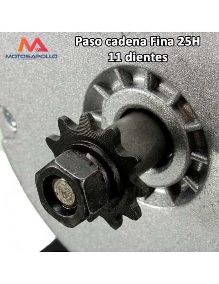 Motor electrico 250W 24V - Motosapollo.com