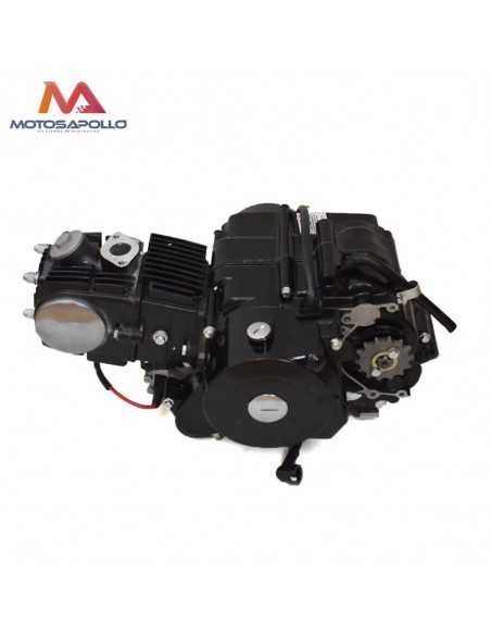 Motor automático pit bike 90CC - Motosapollo.com