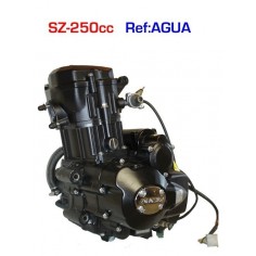 Motor 250 zongshen agua - 1 2