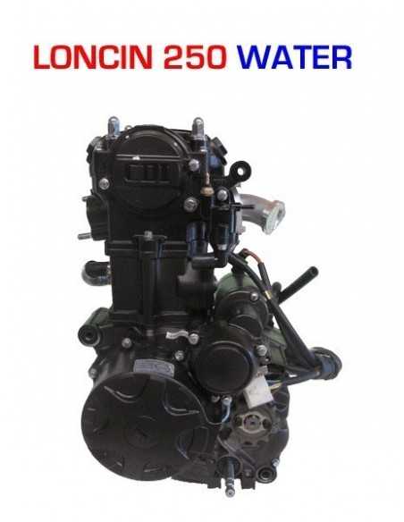Motor 250 cc agua Loncin - 1