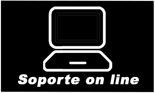 Soporte online
